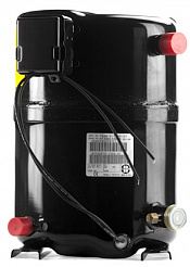 Компрессор H23A423DBE RSG Bristol